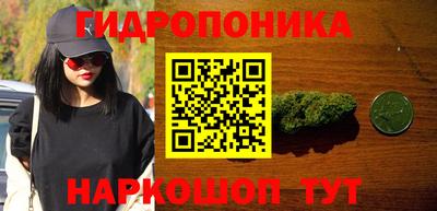 круглые Пушкино