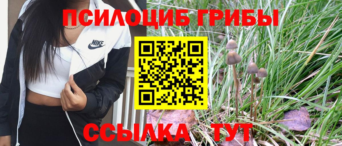 Петропавловск-Камчатский  Галлюциногенные грибы Psilocybine cubensis  Вход с VPN 