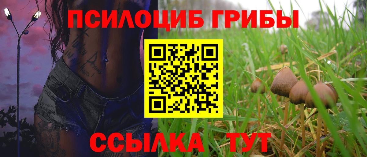 Галлюциногенные грибы мухоморы Петропавловск-Камчатский